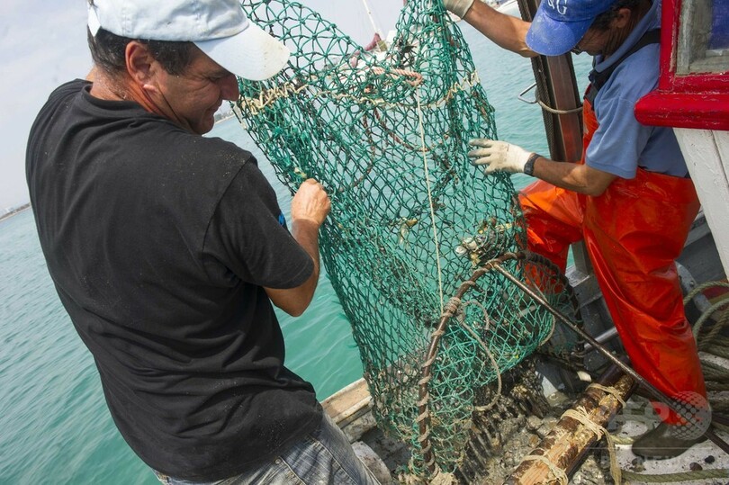 水温上昇の海は「不健全」 世界自然保護会議で警告