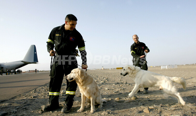 ペルー大地震、スペイン救助隊が災害救助犬と現地入り