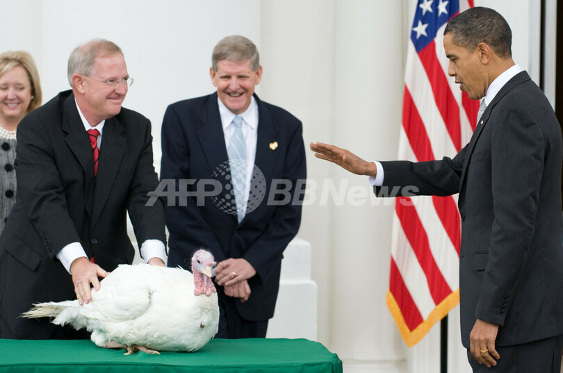 感謝祭の七面鳥にオバマ大統領が「恩赦」、余生はディズニーランドで
