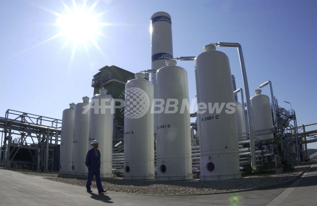 バイオマスから水素ガスを生産する手法を開発、研究報告 バイオマスから水素ガスを生産する手法を開発、研究報告