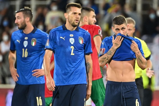スウェーデンがスペイン下し首位浮上 イタリアは35戦無敗 W杯予選 写真10枚 国際ニュース Afpbb News