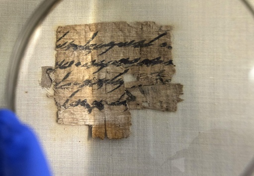 貴重なパピルス文書を米で発見、イスラエル考古学庁が公開 写真12枚