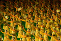 北朝鮮・平壌（Pyongyang）の綾羅島メーデースタジアム（Rungnado May Day Stadium、収容人数15万人）で26日、恒例の「アリラン祭（Arirang Festival）」のマスゲームが行われた。

朝鮮戦争の休戦60周年をテーマに行われる今年のマスゲームには約10万人が参加。一糸乱れぬ体操やダンス、アクロバットなどの集団パフォーマンスや演劇などが披露される（2013年7月26日撮影）。(c)AFP/Ed Jones