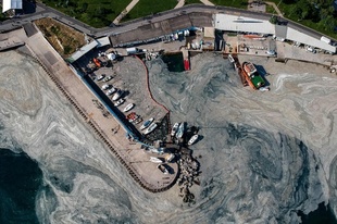 トルコの「海の鼻水」 調査や除去作業進む