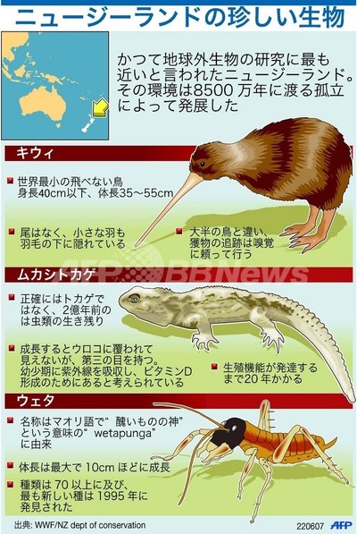 珍しい生き物の宝庫、ニュージーランド
