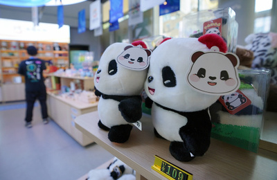 「パンダも見たい」 中国成都ワールドゲームズ選手団の入国ピーク迎える