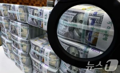 韓国・国内政治がウォン安助長…輸出経済に暗雲