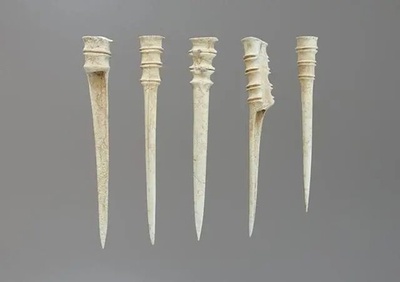 仰韶文化の考古作業で骨器を発見 早期の布づくりと関連か