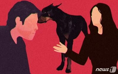 月収30万円、老犬に7万円…韓国・夫の「金かかりすぎる」「実家で飼え」で夫婦に溝