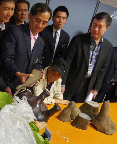 サイの角密輸、東南アジア複数空港で押収 合計1億2千万円相当