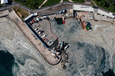 トルコの「海の鼻水」 調査や除去作業進む