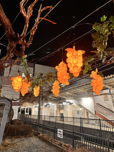 【冬に実る光のぶどう「ふゆみのり」今年もスタート！】塩尻駅東口のぶどう棚に春を待つぶどうの息吹と温もりを感じる光ぶどうを点灯します。