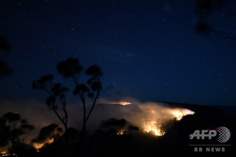 シドニー北郊で「メガ火災」、複数の森林火災合流で制御不能に