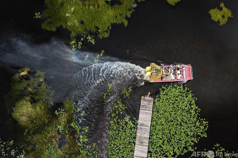 気候変動に脅かされる自然の宝庫 米フロリダのエバーグレーズ国立公園 写真22枚 国際ニュース Afpbb News