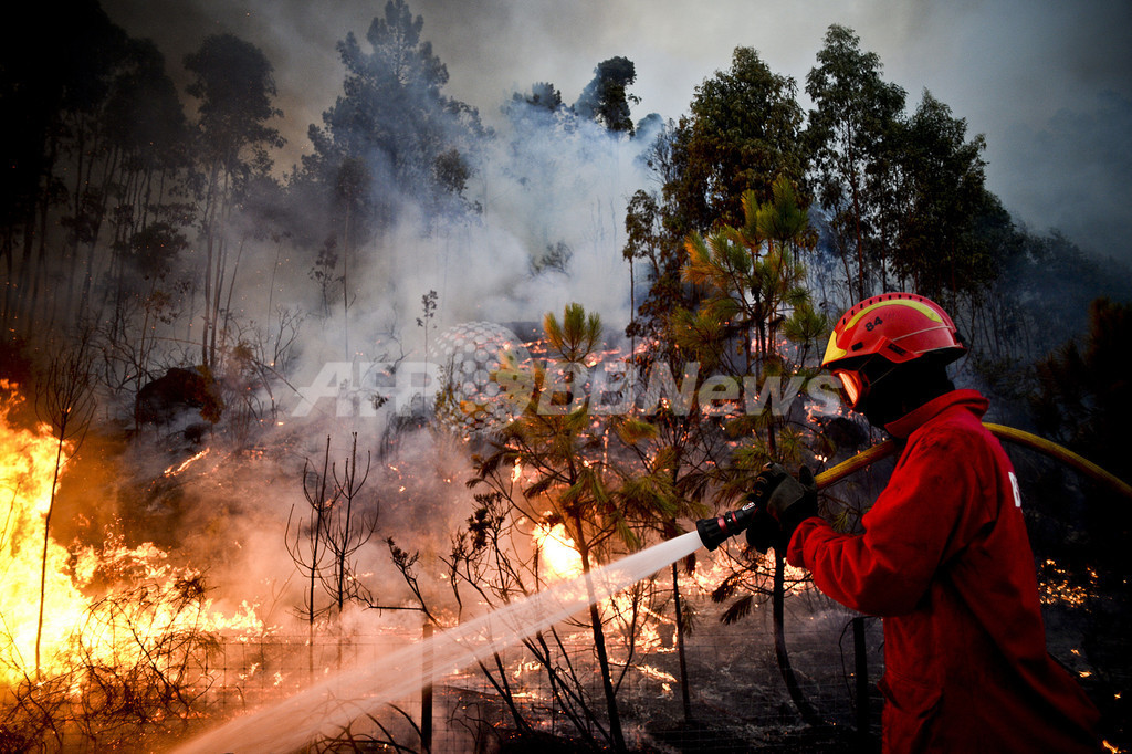 ポルトガル北中部で続く山火事 軍投入も視野 写真9枚 国際ニュース Afpbb News