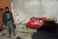 アフガニスタン東部ジャララバードで、地元有力者の集まりを狙った自爆攻撃があった地元議員宅（2016年1月17日撮影）。(c)AFP/Noorullah Shirzada