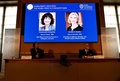 2020年のノーベル化学賞受賞が決まった、フランス人女性のエマニュエル・シャルパンティエ氏（左）と、米国人女性のジェニファー・ダウドナ氏。スウェーデン・ストックホルムのスウェーデン王立科学アカデミーで（2020年10月7日撮影）。(c)Henrik MONTGOMERY / various sources / AFP