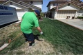 米カリフォルニア州サンディエゴで、枯れた芝に「芝生スプレー」を塗布する地元企業ローンリフトの従業員（2015年5月12日撮影）。(c)AFP/MARK RALSTON