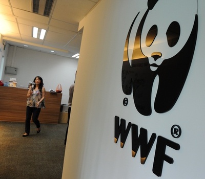 世界の野生動物、過去40年で半減 WWF発表