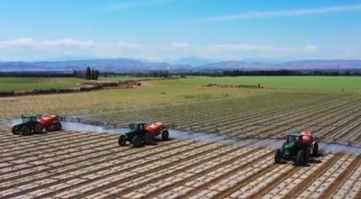 衛星リモートセンシングモニタリング技術で綿畑管理を支援 中国新疆