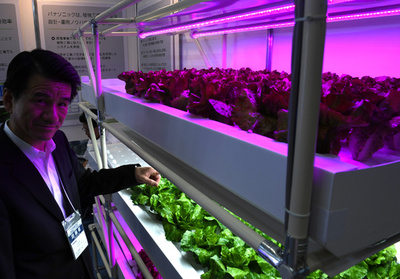 LEDライトが鍵握る「植物工場」、東京でスマートアグリ展