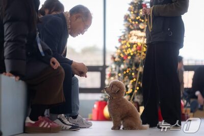 おじいさん、おばあさんがペットシッターに！…韓国・86歳「最高齢」合格という快挙