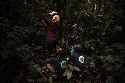 新型コロナで注目のセンザンコウ 少数民族の力借りて研究 中央アフリカ