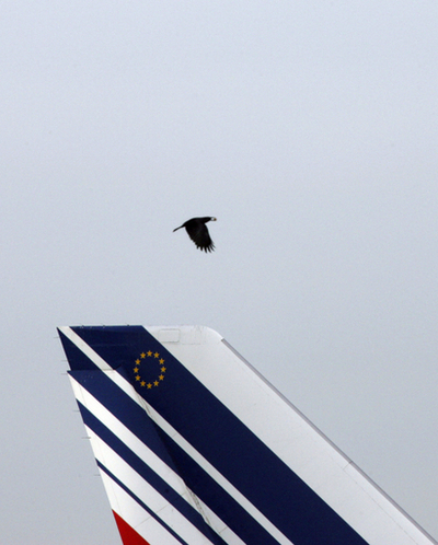 マドリードの空港で、「大型の鳥類との衝突」への警戒呼びかけ