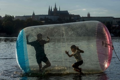 【今日の1枚】気分は忍者？ 水面すいすい