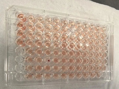 中国広東省で「パンダ血」の100倍希少な「ダイヤモンド血」を検出