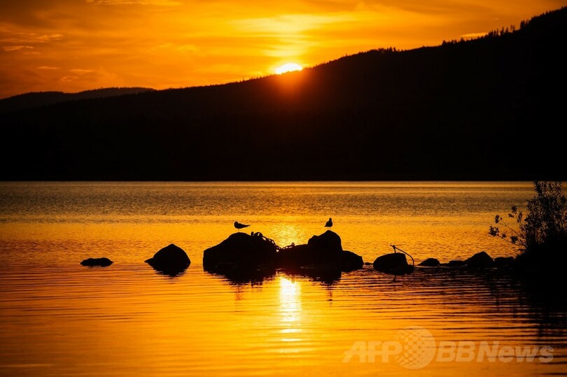 短い夏の夕日、スウェーデン