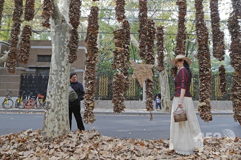 掃除はしません！ 落ち葉のある景観づくり　中国・上海市