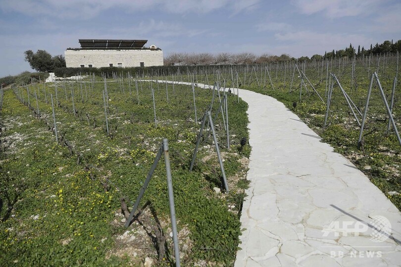 ゴーン被告のワイナリー、レバノンで順調操業 一家のルーツ