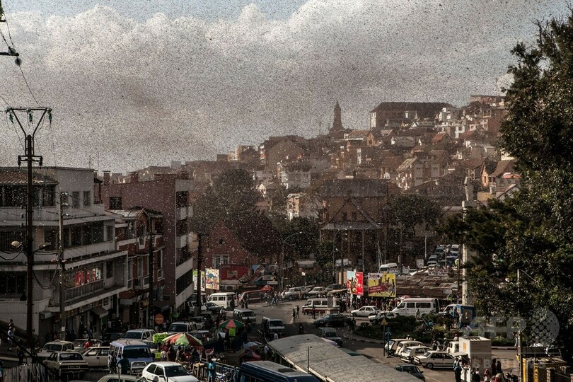 マダガスカル首都を覆う黒雲、イナゴの大群襲来