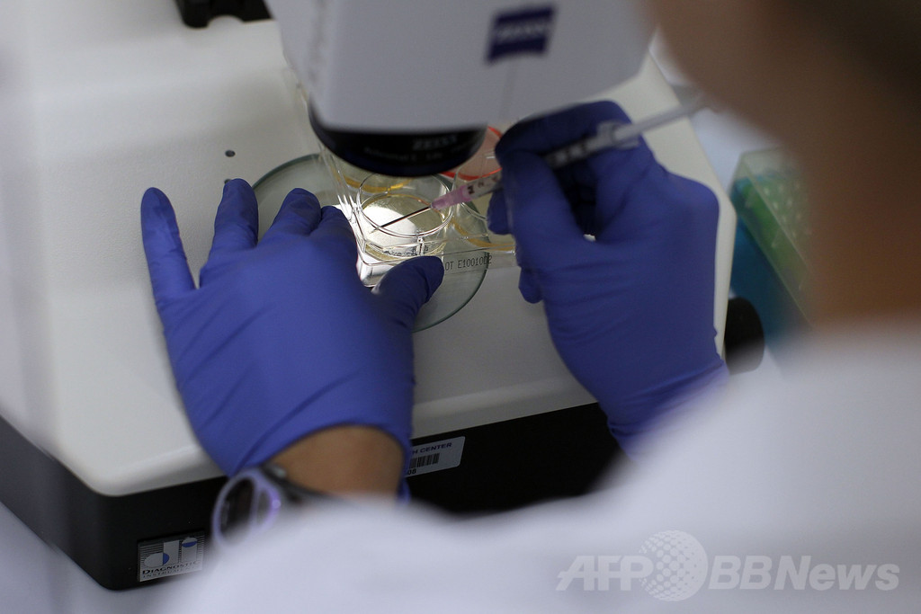 新たな万能細胞「STAP」、溶液培養の革新的手法 日本の研究 新たな万能細胞「STAP」、溶液培養の革新的手法 日本の研究