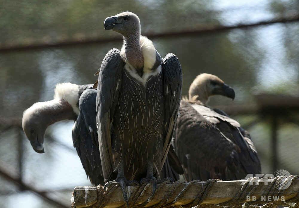 img_4715f3b33089629c019bfaf1b0