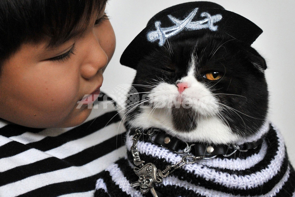 キャプテンと呼べニャ～」、キルギスの海賊ネコちゃん 写真3枚 国際