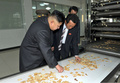 軍部隊の食品工場を視察する金正恩朝鮮労働党委員長。朝鮮中央通信配信（2013年11月13日配信、撮影日不明）。(c)AFP PHOTO/KCNA VIA KNS