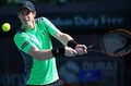 テニス、ドバイ・テニス選手権、男子シングルス2回戦。リターンを狙うアンディ・マレー（2015年2月25日撮影）。(c)AFP/MARWAN NAAMANI