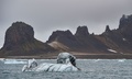 北極海のフランツヨシフ諸島の島（2021年8月21日撮影）。(c)Ekaterina ANISIMOVA / AFP