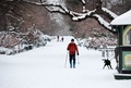 雪が積もったニューヨーク市のセントラルパークで、スキー板を履いて歩く男性（2015年1月27日撮影）。(c)AFP/Getty Images/Yana Paskova