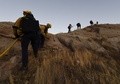 米カリフォルニア州サンタクラリタ付近で、防火線を設置するため峡谷を登る消防隊（2019年10月25日撮影）。(c)Mark RALSTON / AFP
