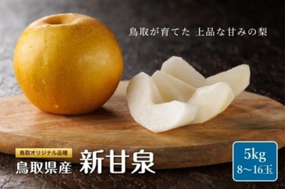 まだ間に合う鳥取の梨！ 旬のおいしさを閉じ込めた「新甘泉」「秋甘泉」などを 「ＪＡタウン」で販売中