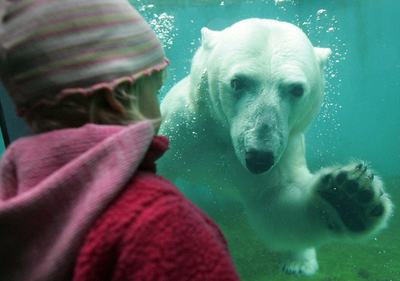 3月22日は国連「水の日」 - ハンガリー