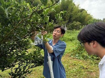 淑徳大学×ソラシドエア×宮崎県7自治体×多摩大学との産官学連携 最終発表会を実施　～一年間の実践を通じて、航空を通じた地方創生を提案 ～