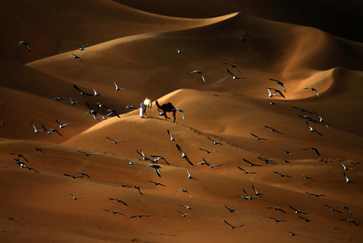 【特集】AFPのベストショット：1月2～8日