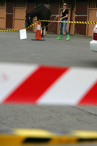 豪州でも馬インフルエンザ確認、競馬が中止に