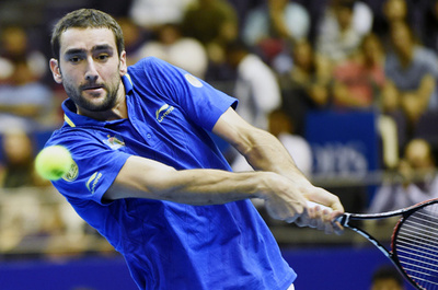 全米覇者チリッチ、右肩の故障で全豪オープンを欠場