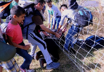移民蹴ったカメラマン パニック状態だった と釈明 写真3枚 国際ニュース Afpbb News