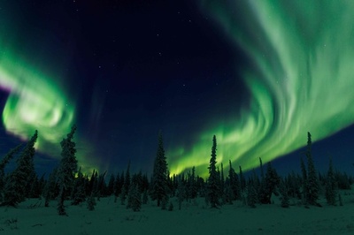 【今日の1枚】極寒の夜を彩るカナダ北極圏のオーロラ
